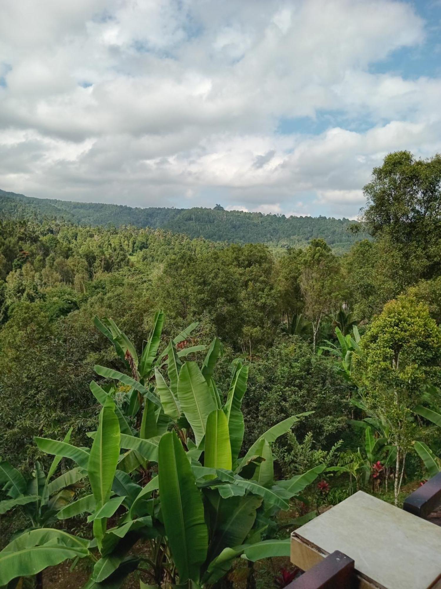 Kanaya Homestay & Warung Heaven Munduk Dış mekan fotoğraf