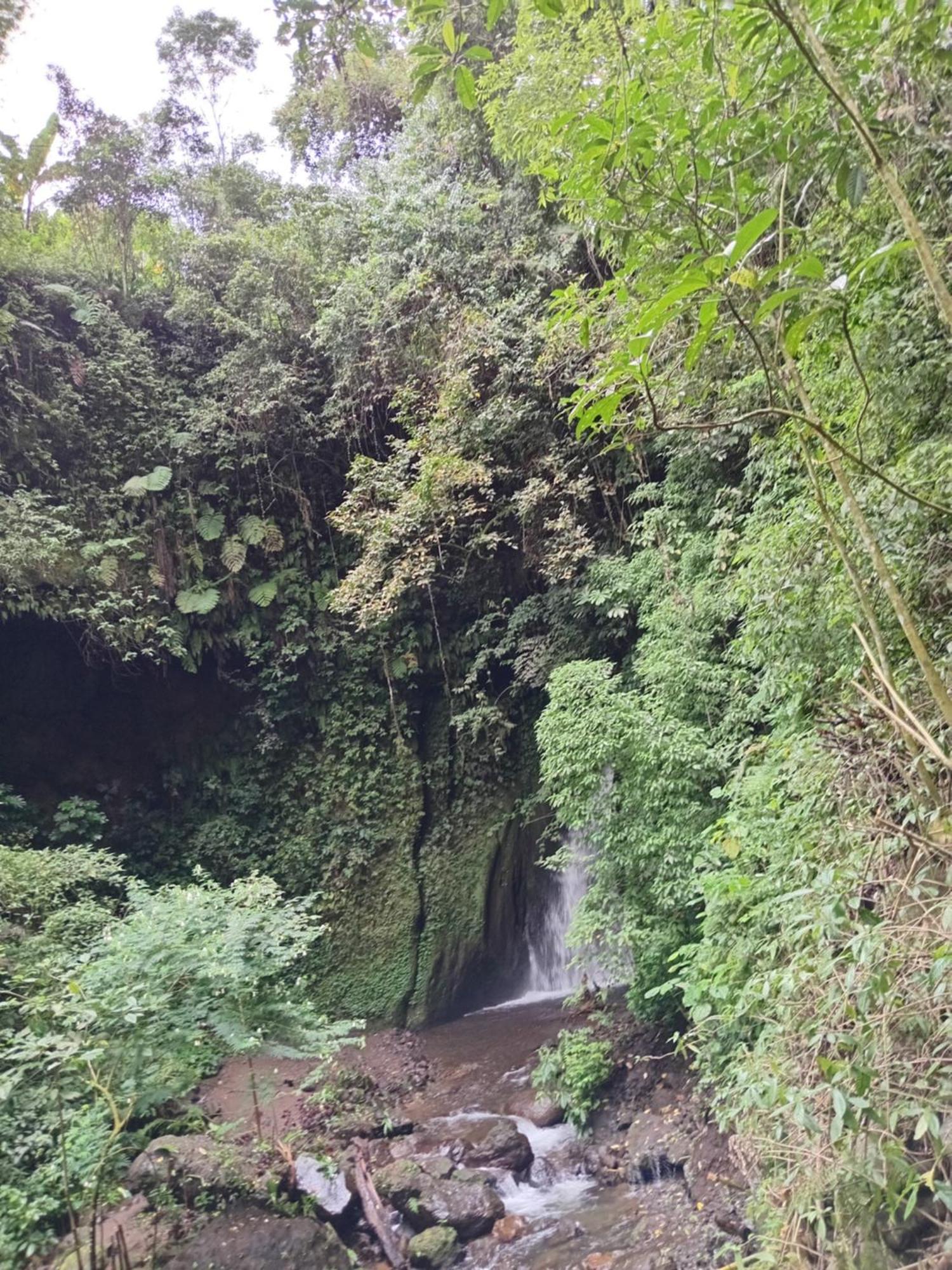 Kanaya Homestay & Warung Heaven Munduk Dış mekan fotoğraf