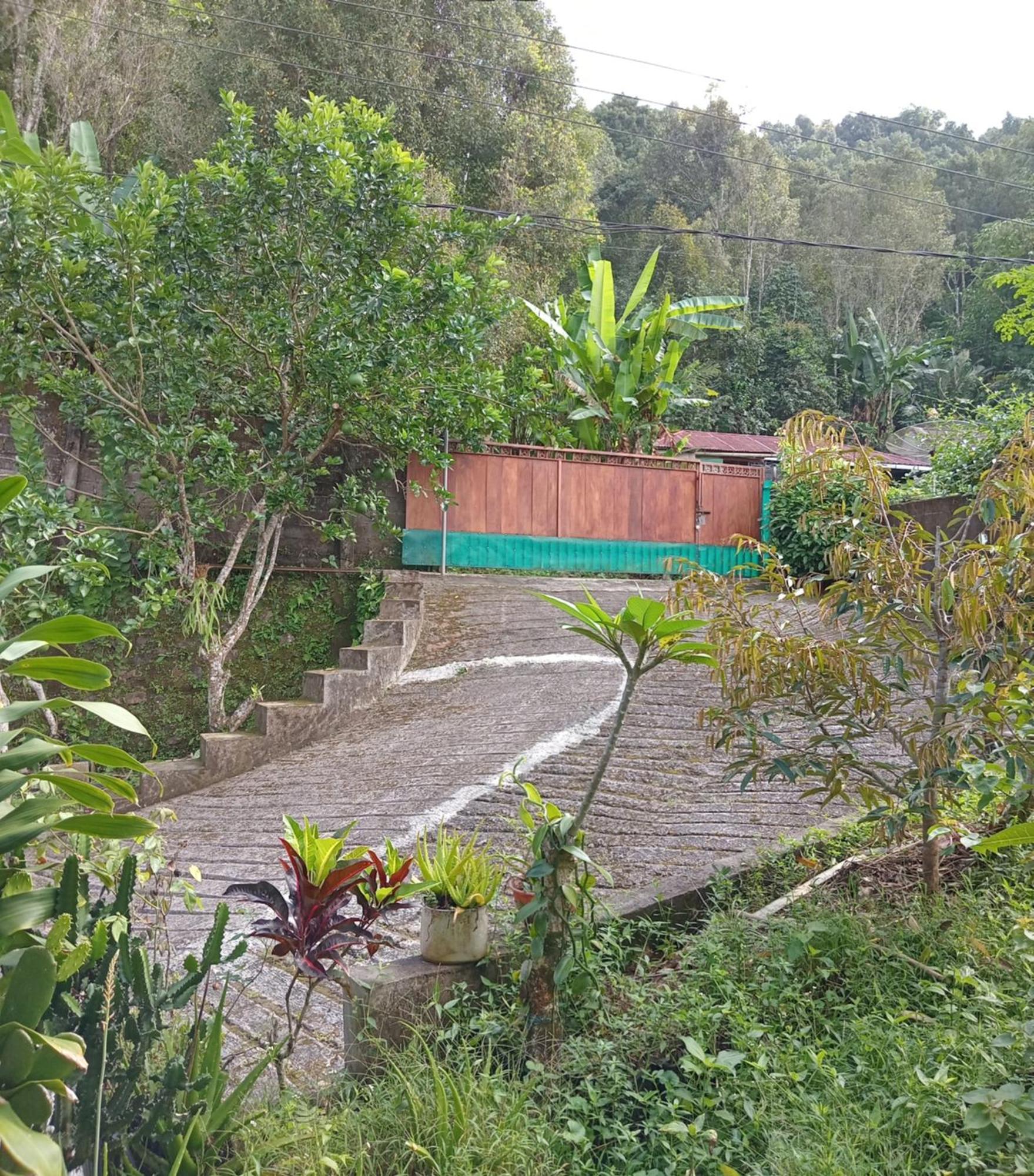 Kanaya Homestay & Warung Heaven Munduk Dış mekan fotoğraf